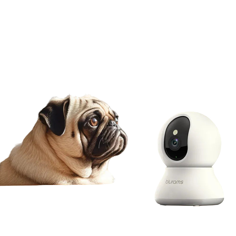 2K Indoor Pet Camera with 360° Rotation and Two-Way Audio – Smart Home Security Camera 5