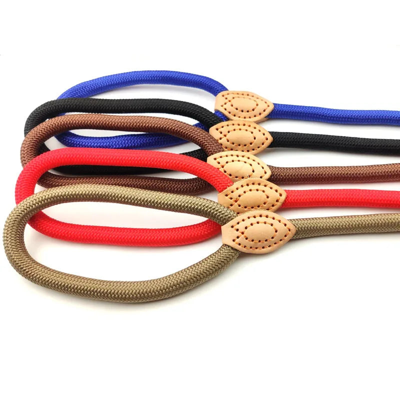 Adjustable 2-in-1 Nylon Dog Leash and Collar β 150cm P-Shape Design for Effective Training, Black 4