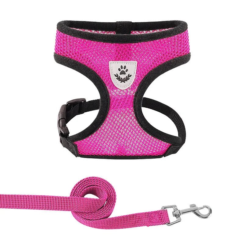 Adjustable Dog and Cat Harness with Leash – Breathable Mesh, Reflective Accents, Custom Fit for Comfort and Safety 13