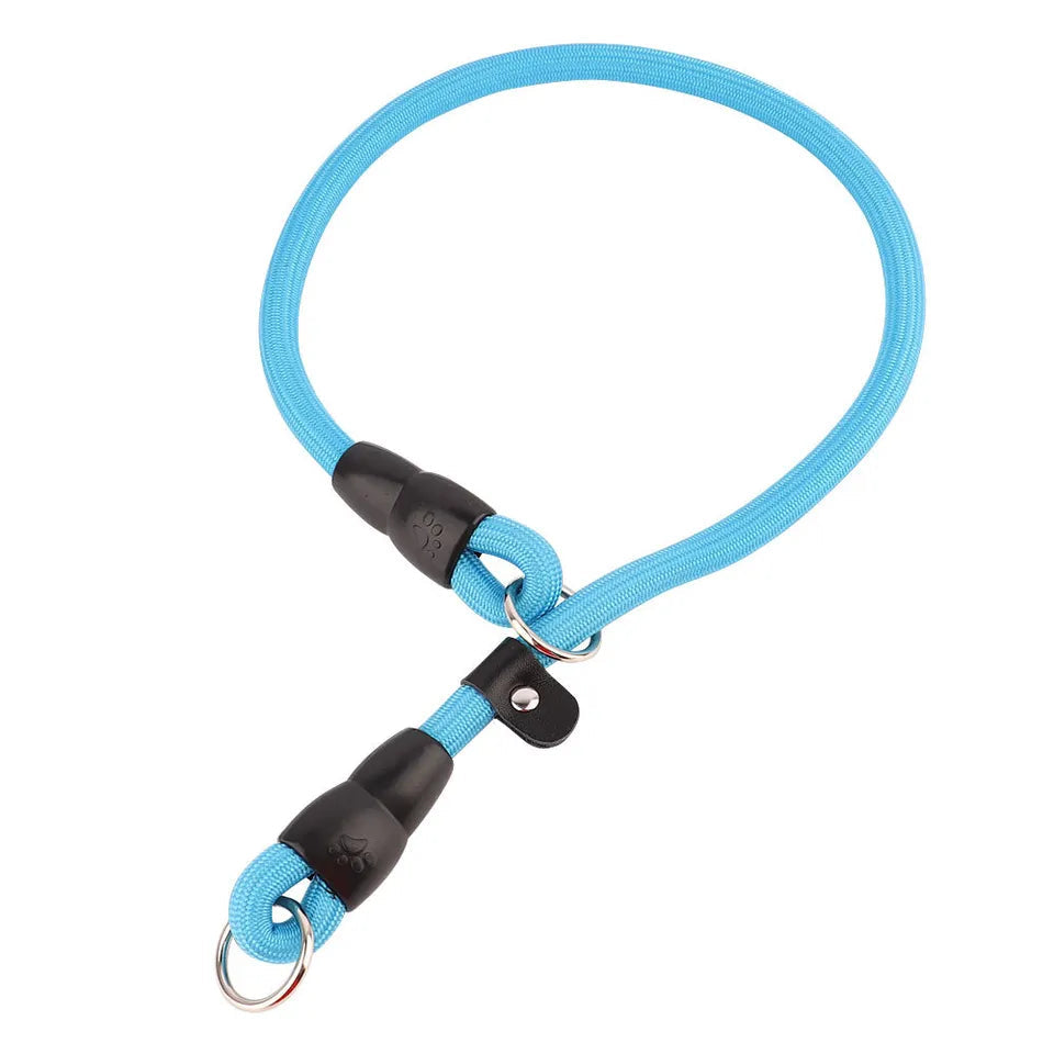 Adjustable Nylon Dog Collar for Training and Walking – Durable, Comfortable Fit for All Breeds in Red, Blue, Black, Orange 10