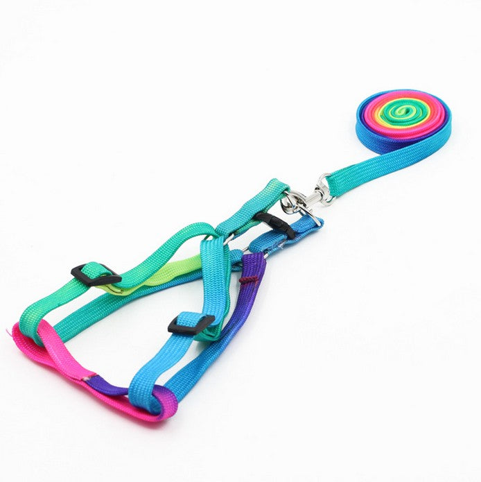 Adjustable Rainbow Nylon Dog Harness Set with 120cm Leash – Comfortable and Durable Design for Ultimate Pet Safety 6