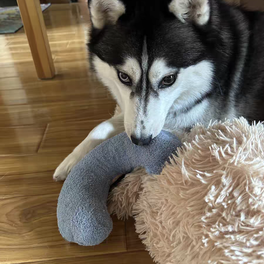 Anti-Anxiety Dog Pillow, Machine Washable Comfort Pillow for Relaxation, Soft and Cozy Support for Anxious Dogs - 24 x 18 Inches 9