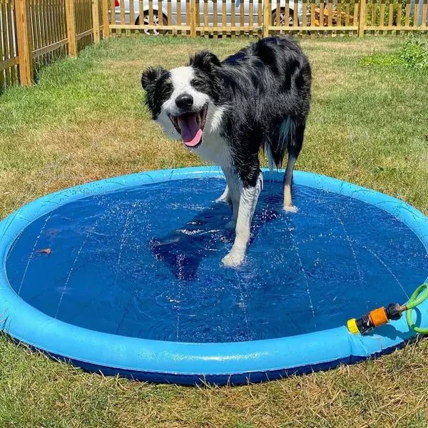 Anti-Slip Dog Splash Pad – Portable Sprinkler Mat for Kids and Pets 5