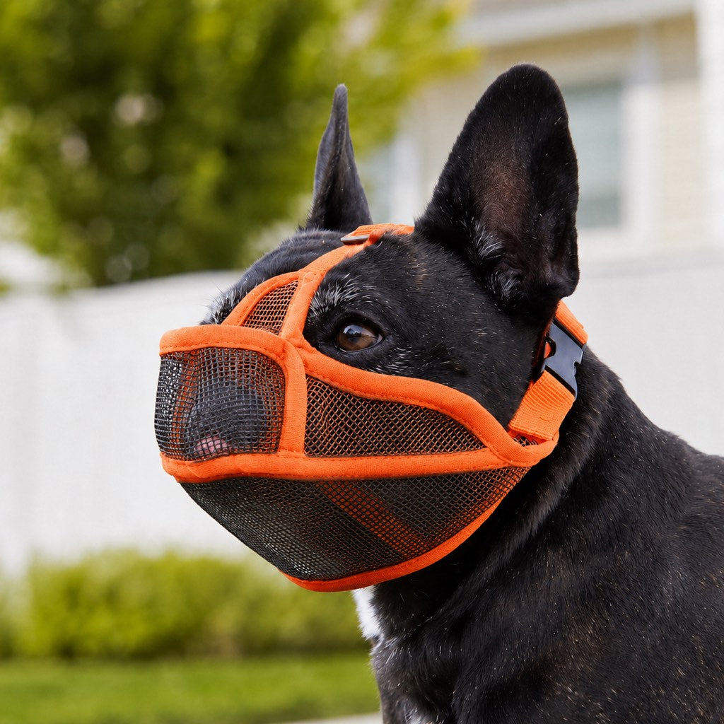 Basket muzzle for dogs featuring a breathable mesh design and drink-friendly open structure, perfect for short-snout breeds like Bulldogs and Pugs. 12