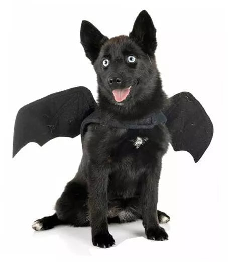 Bat Wings Dog Costume for Halloween – Comfortable Adjustable Pet Outfit for Small to Large Dogs 9