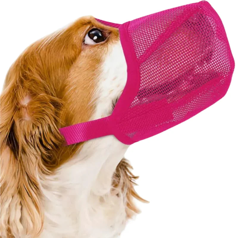 Breathable dog muzzle designed for small dogs, featuring an adjustable fit and lightweight mesh basket to prevent barking while ensuring comfort and safety. 4