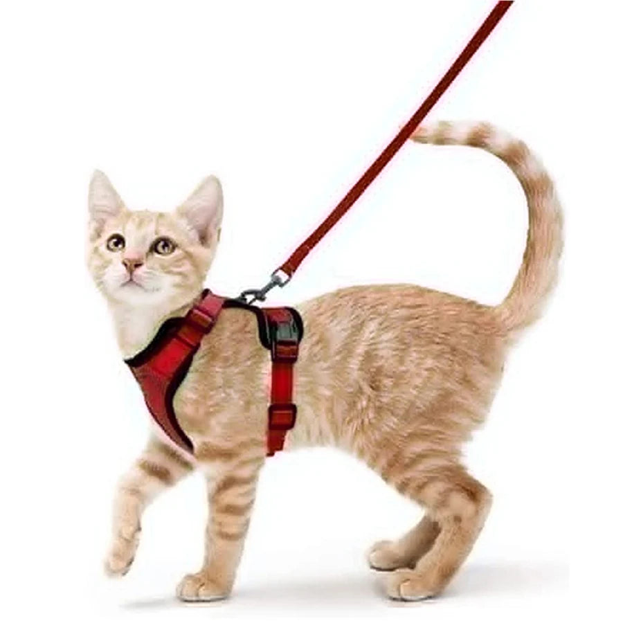 CatVoyage | Soft and Safe Walking Harness 11