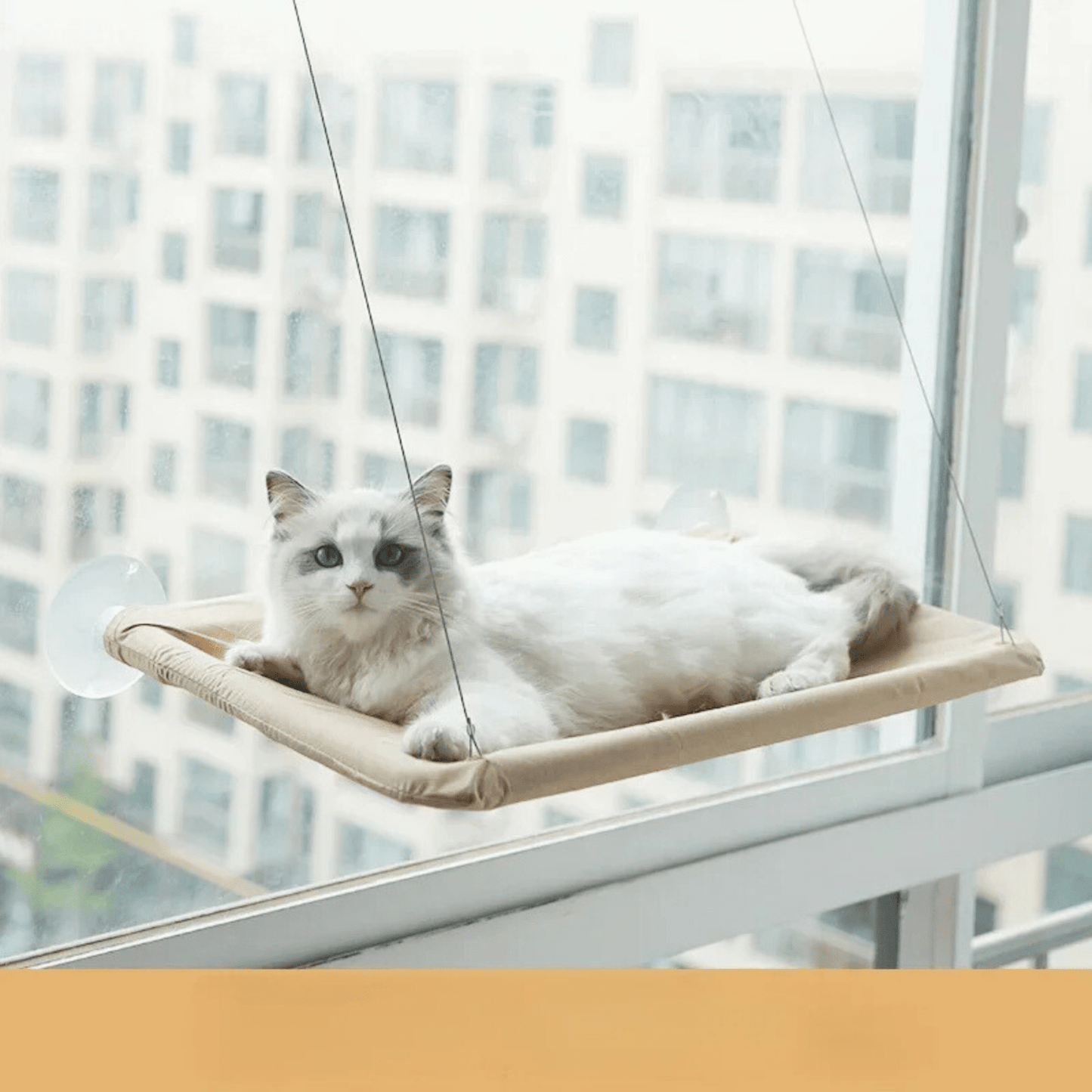 Cat Window Hammock – Breathable Oxford Fabric for Comfortable Elevated Sleeping 7