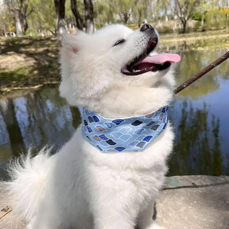Cooling Dog Collar, Adjustable Soft Design with Water Activation for All Sizes – Ideal for Outdoor Activities, Blue 4