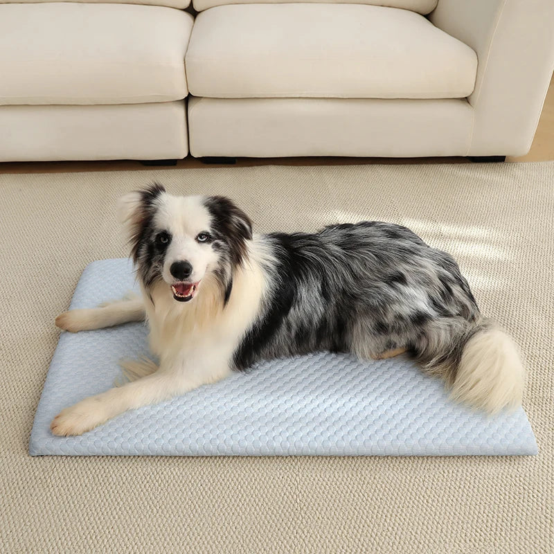 Cooling dog mat featuring an ice silk surface and non-slip backing, designed for home and car use, machine washable, and available in various sizes and colors 5