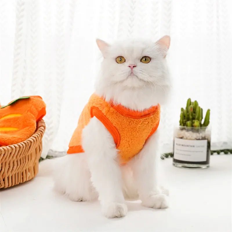 Cute Carrot Outfit for Small Dogs and Cats – Perfect for Easter Celebrations 6