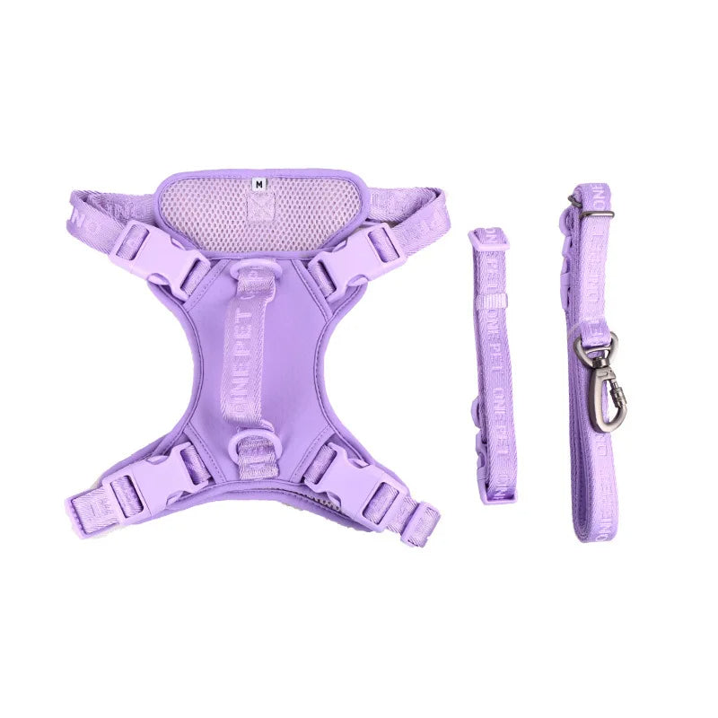 Daisy Adjustable Dog Harness for Small Breeds – Breathable, Comfortable, Stylish Design with Leash 7