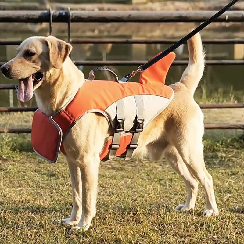 Dog life jacket with safety support for water activities, featuring a durable pet-safe float vest in vibrant colors, designed for maximum buoyancy and comfort for your 8