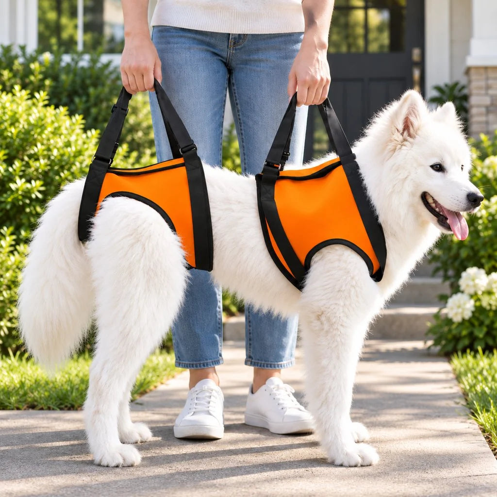 Dog Mobility Lift Harness in red, designed for senior dogs, featuring adjustable support and flexible fabric for comfort and ease of movement. 16