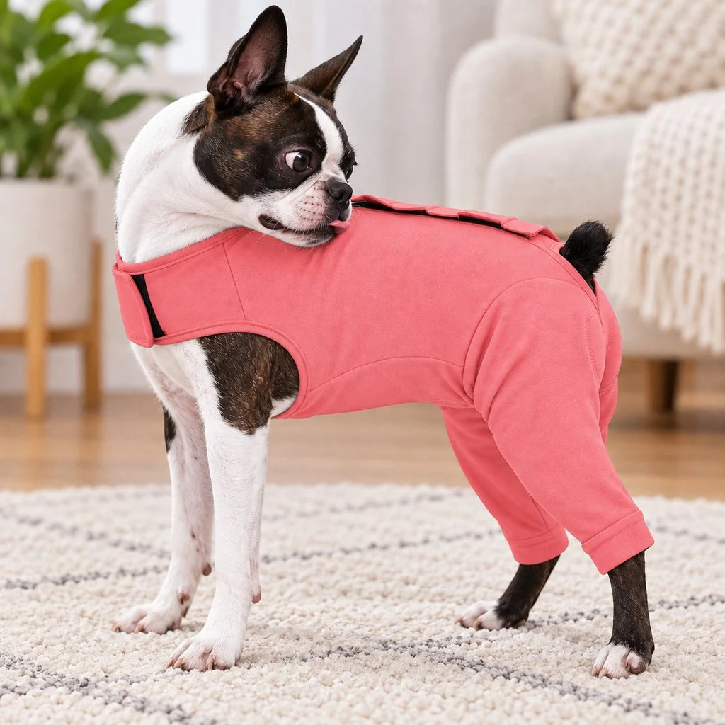 Dog recovery suit designed for post-surgery comfort, featuring rear leg coverage, made from soft stretchy fabric, and serves as an anti-lick alternative. 3
