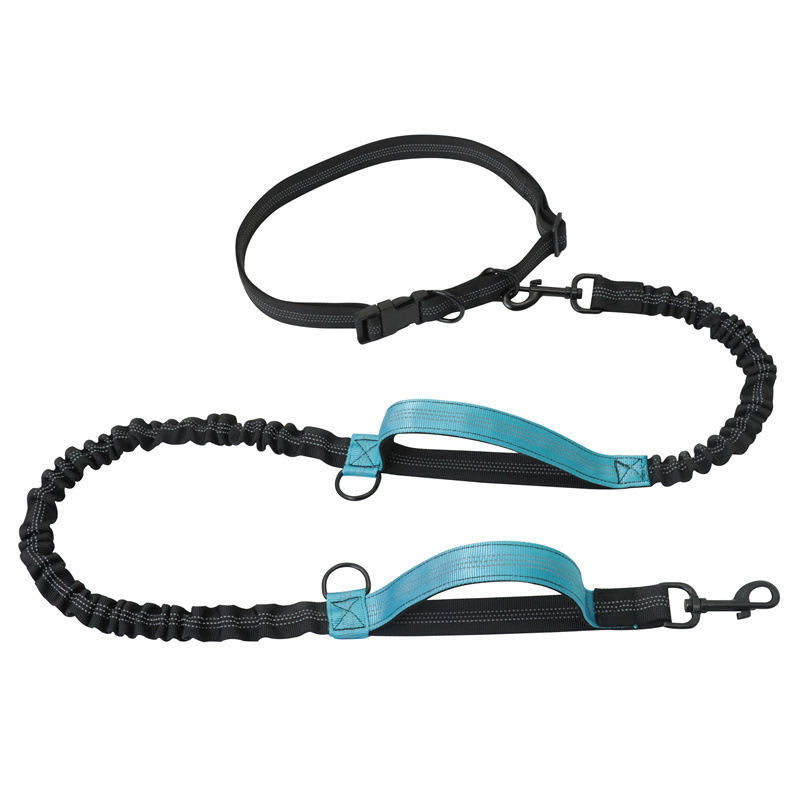 Double Dog Leash with Elastic Cord and Reflective Stitching for Walking and Jogging – Comfortable Grip, Shock Absorption, Durable Design 8