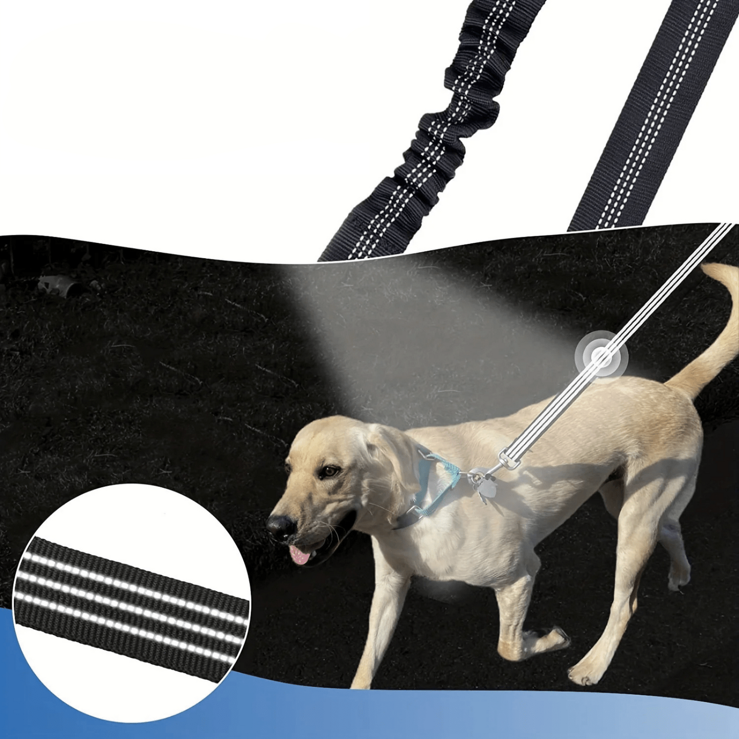 Double Dog Leash with Tangle-Free Swivel and Reflective Stitching – Durable Nylon for Small and Large Dogs 3