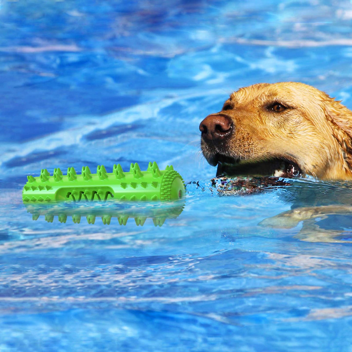 Durable rubber dog chew toy designed with a textured toothbrush shape, ideal for aggressive chewers and puppies, promoting dental health. 7