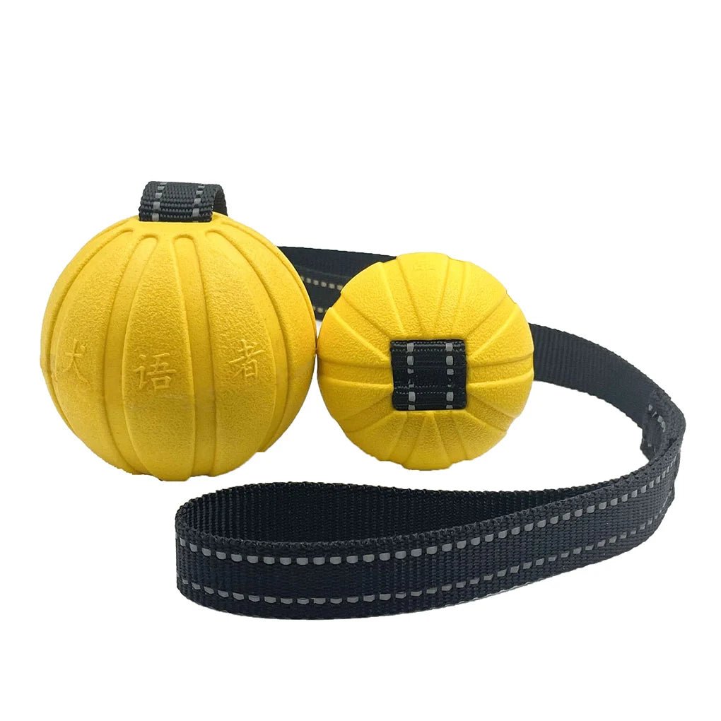 Durable Floating Dog Ball on Rope for Interactive Play – Perfect for All Dog Sizes 4