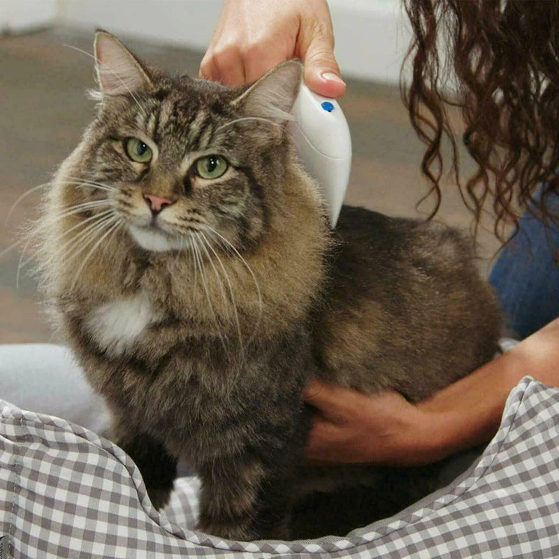 Electric Flea Remover for Pets – Safe, Painless Flea Control for All Coat Types 5