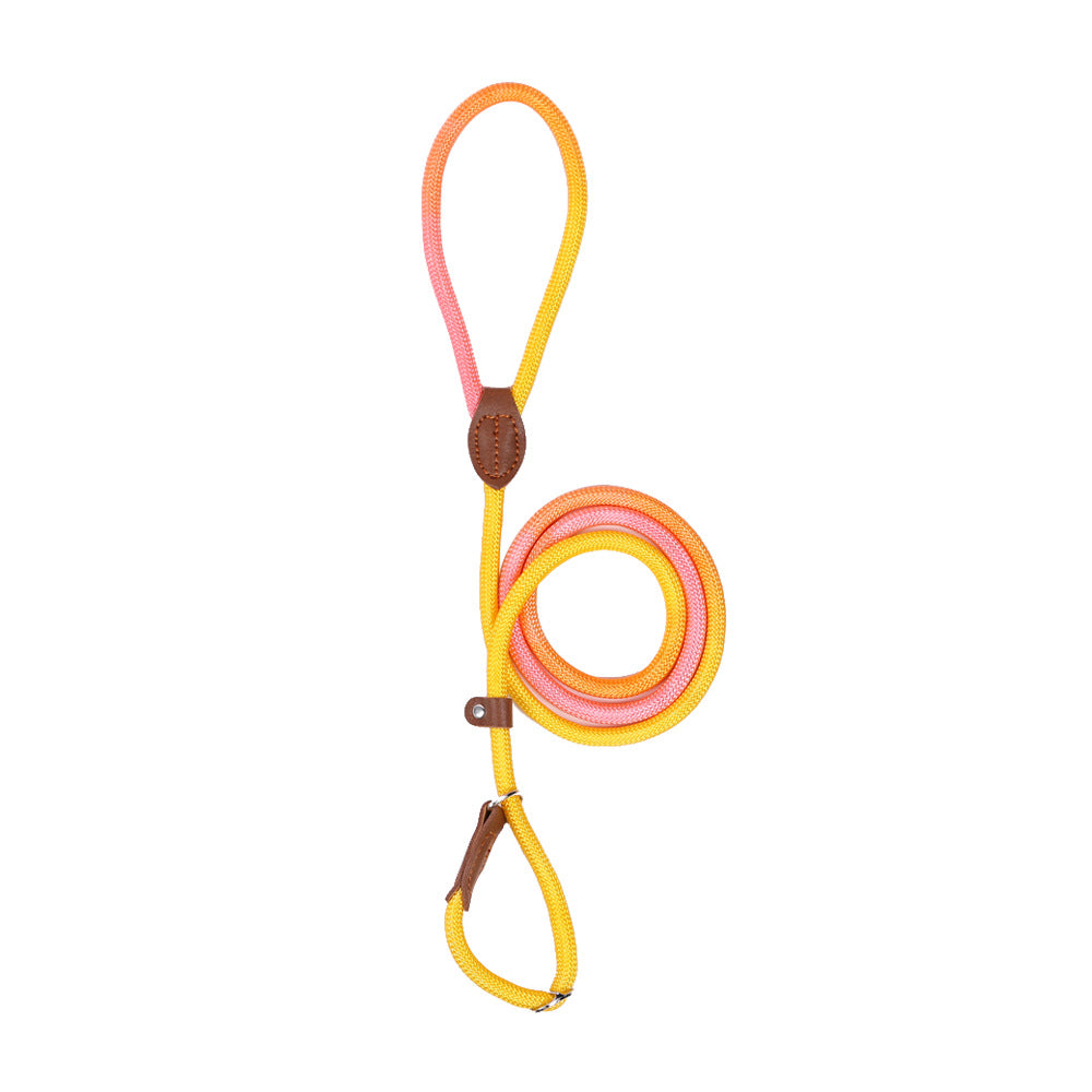Ergonomic Nylon Dog Leash with Tangle-Free Design – Available in Multiple Colors and Sizes 8