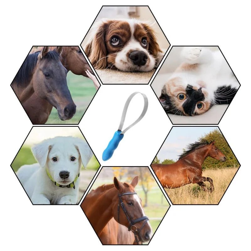Extendable Dog Grooming Tool - Strong Sweat Scraper for Shedding, Dirt Removal, Ergonomic Handle, Stainless Steel Blade 5