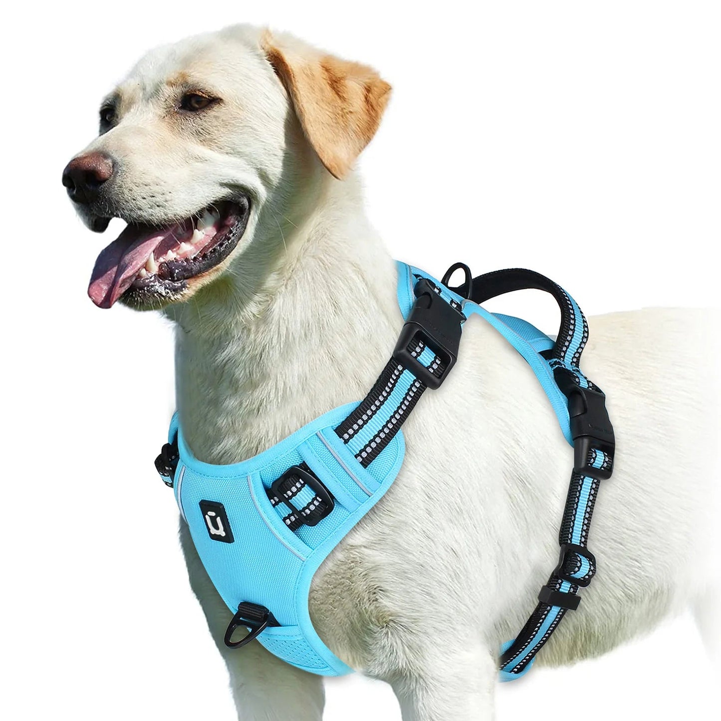 GentleStep | Adjustable Dog Harness for Comfort 9