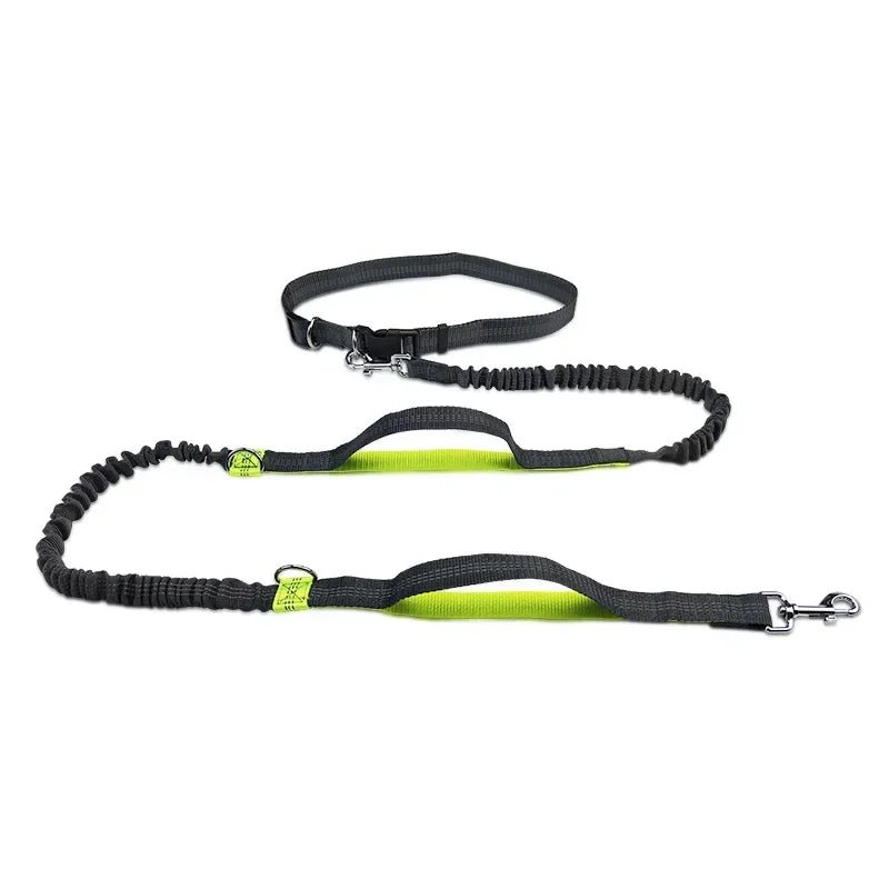 Hands-Free Retractable Dog Leash with Adjustable Waistband and Shock-Absorbing Bungee Strap - Durable and Reflective, Perfect for Running and Hiking 8