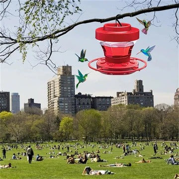 Hummingbird Feeder 16 oz Capacity with Bee-Proof Design and 8 Feeding Ports – Easy to Clean and Fill 3