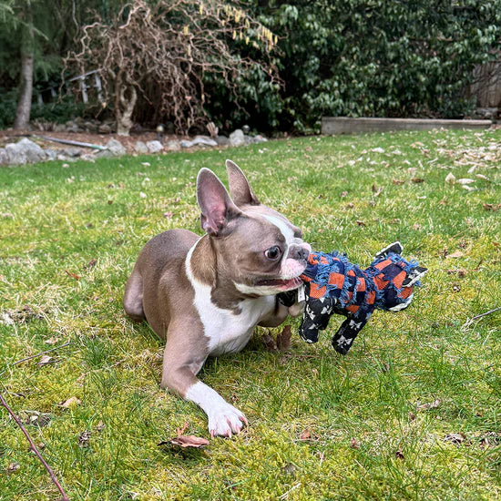 Indestructible Dog Toy for Aggressive Chewers – Durable Interactive Bear with Squeaker, 10 Inch, Safe Chew-Resistant Rubber 8