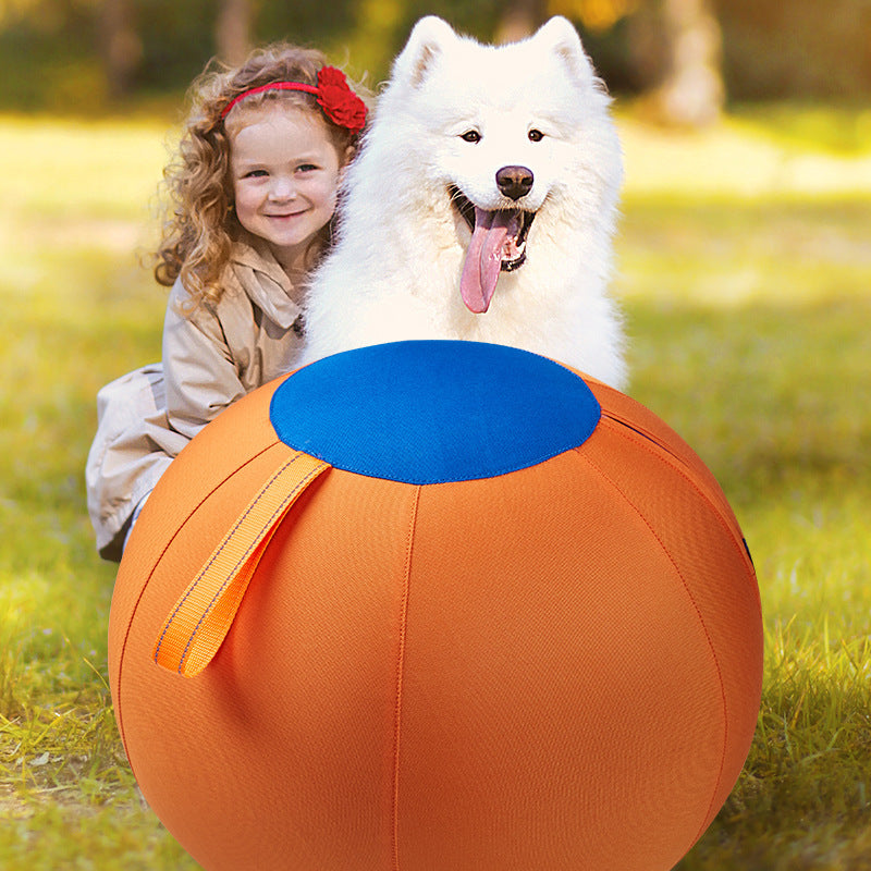 Inflatable dog toy designed for outdoor play, featuring a durable push and chase design in bright colors for easy visibility. 18
