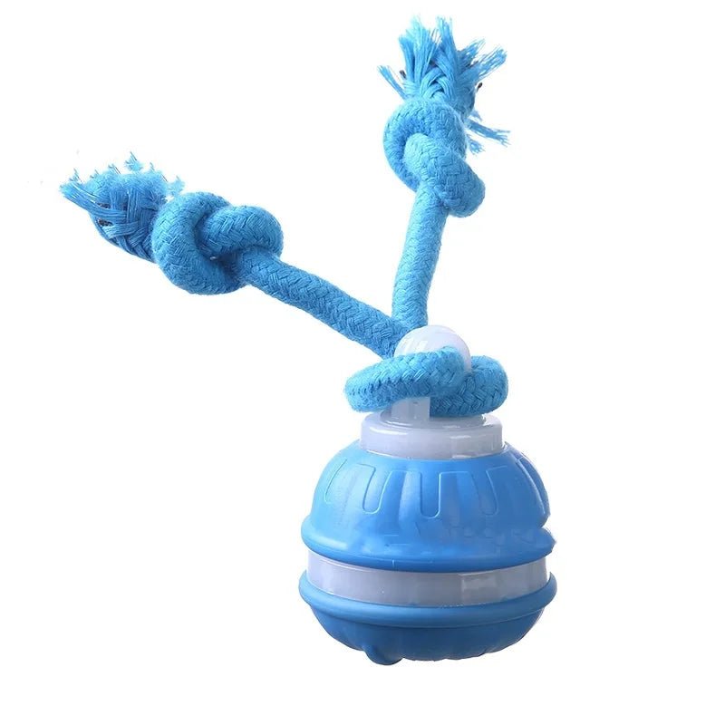 Interactive Automatic Dog Toy Ball with Motion Sensor, USB Rechargeable, Durable Indoor Play for Small Dogs 9