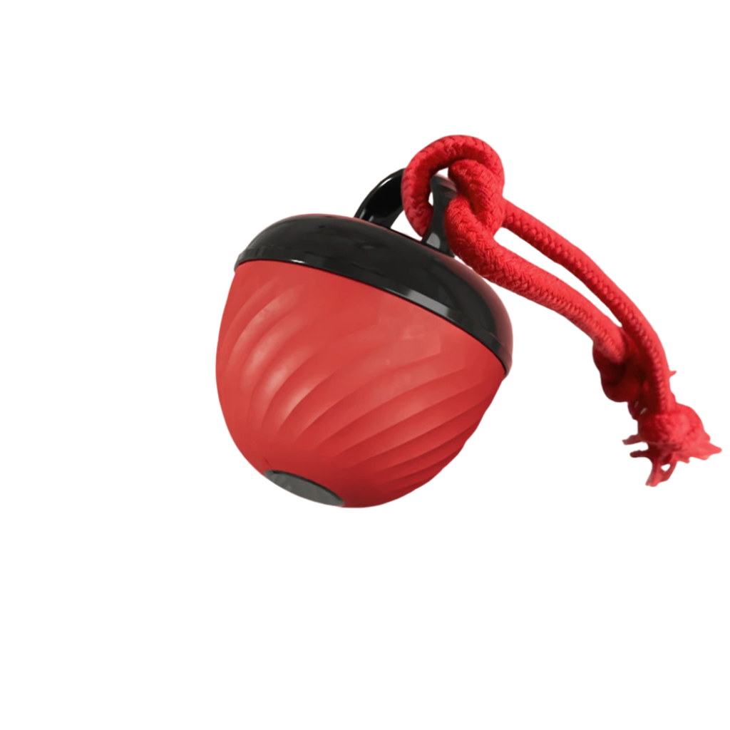 Interactive Dog Ball Toy for Puppies and Small Dogs – Automatic Moving USB Rechargeable Ball 9
