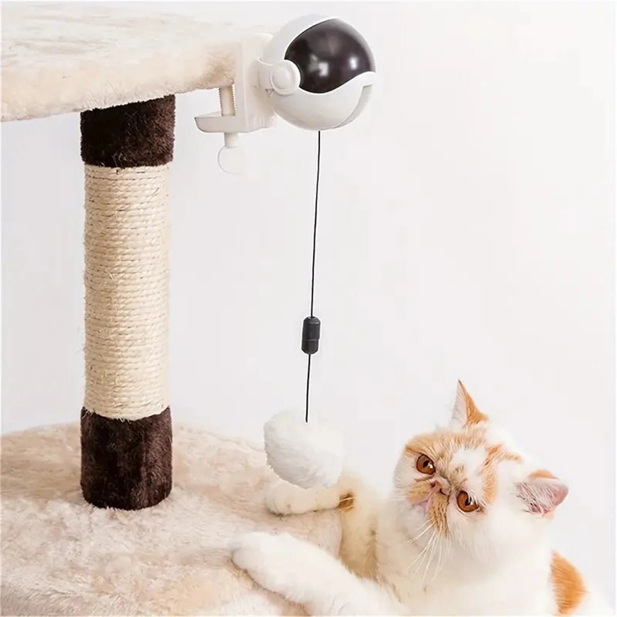 Interactive Electric Cat Toy Ball – Automatic Play for Cats, Engaging and Durable, Ideal for Indoor Fun 5
