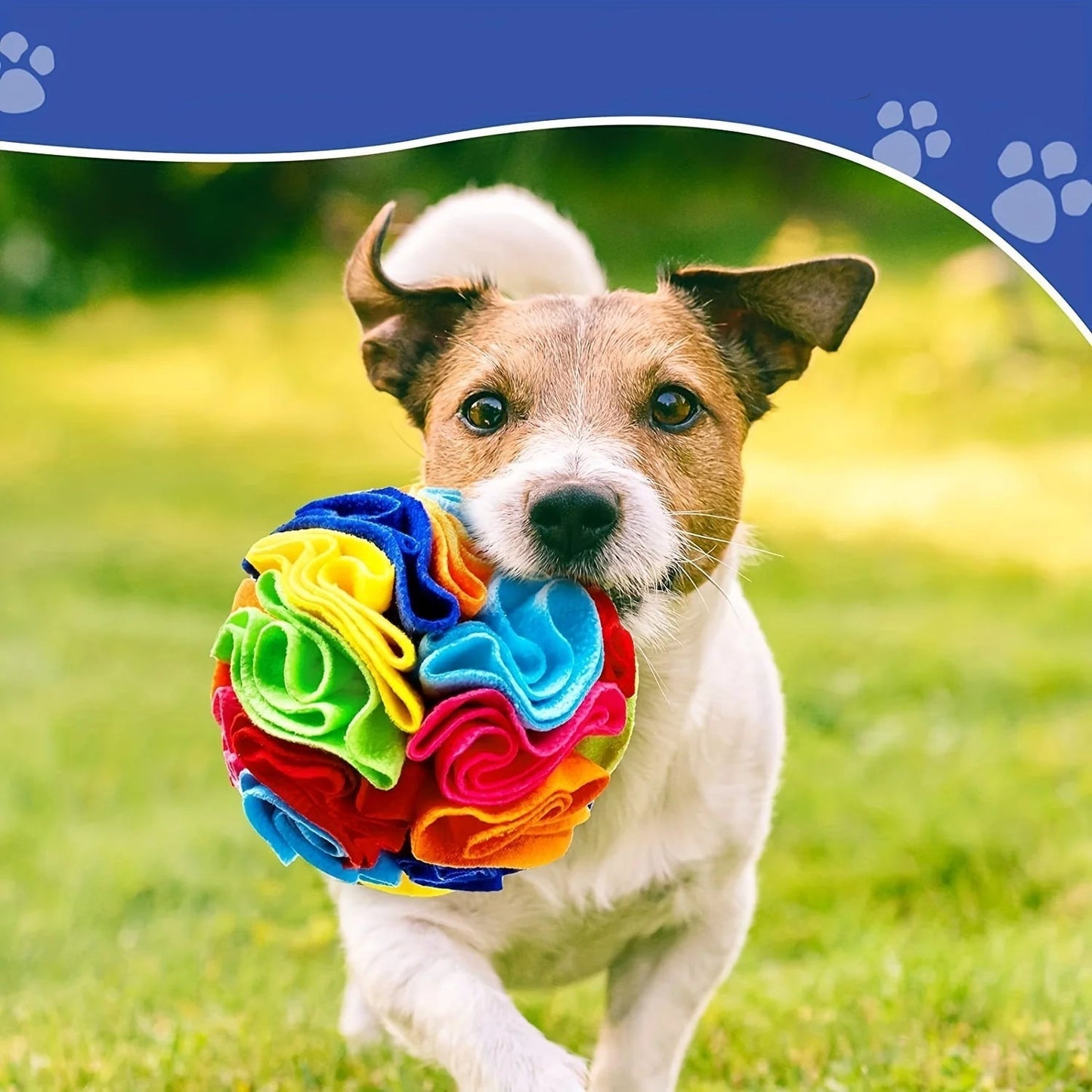 Interactive Snuffle Ball for Dogs – Puzzle Toy for Mental Stimulation and Slow Eating 2