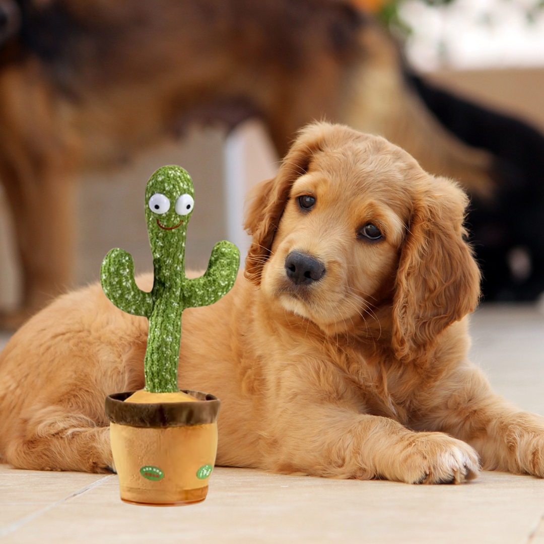 Interactive Talking Cactus Dog Toy with Voice Repeater and Music Effects – Engaging Plush Toy 0