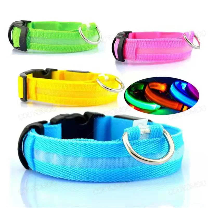 LED Safety Collar for Pets β USB Rechargeable, Water Resistant, 3 Light Modes for Dogs and Cats 1