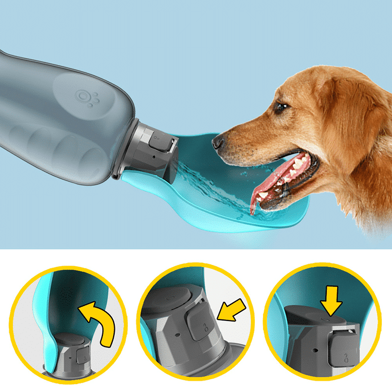 Portable dog water bottle with a foldable bowl, designed for travel, featuring an 800ml capacity for hydration on-the-go for pets. 5