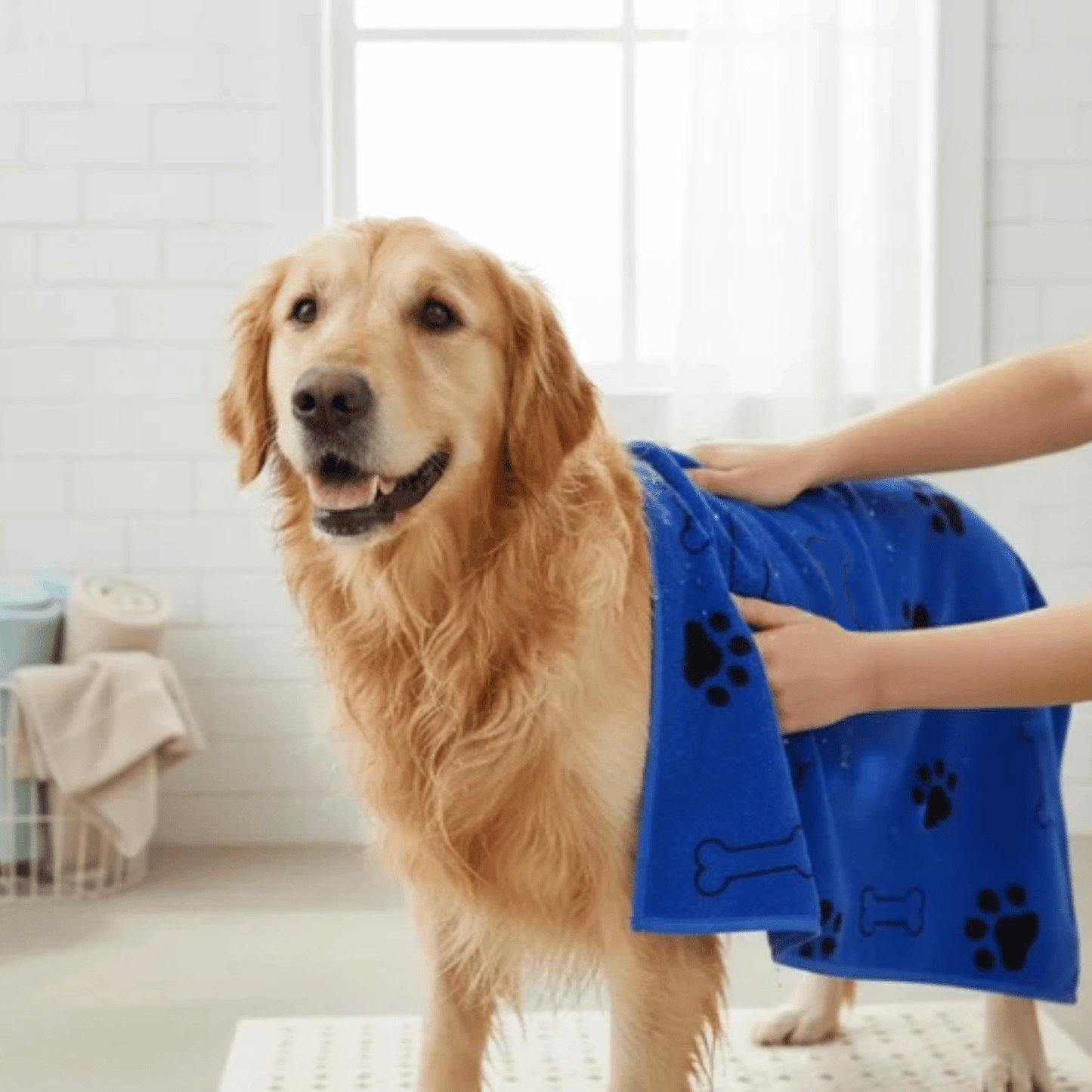Quick Dry Dog Microfiber Towel Set – Super Absorbent 60x100 cm Dog Drying Towels for Bathing and Grooming 4