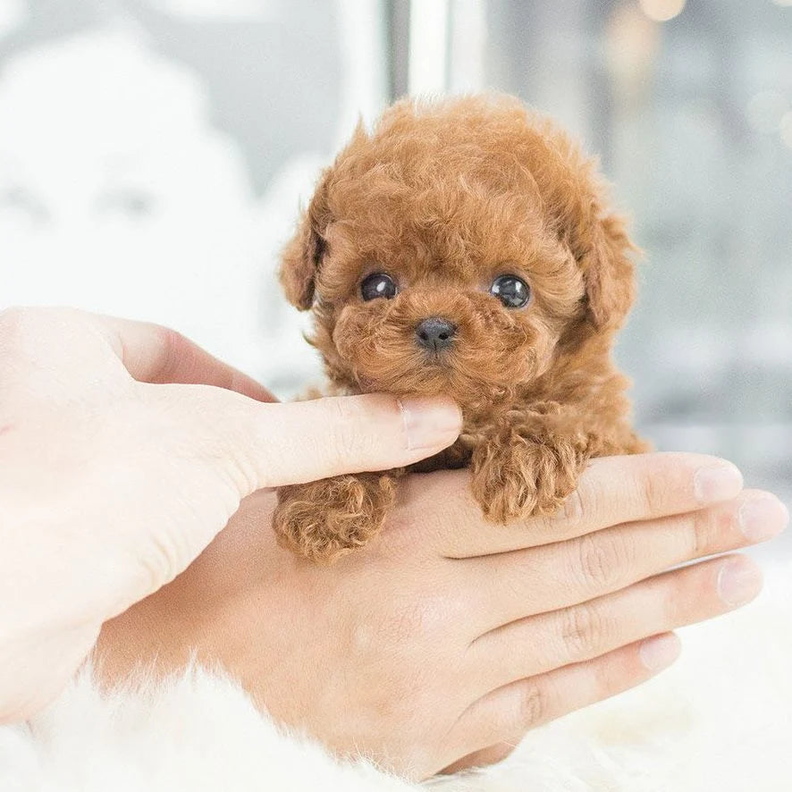 Realistic robotic puppy toy made of handmade synthetic leather, featuring interactive capabilities, perfect companion for kids and adults. 3