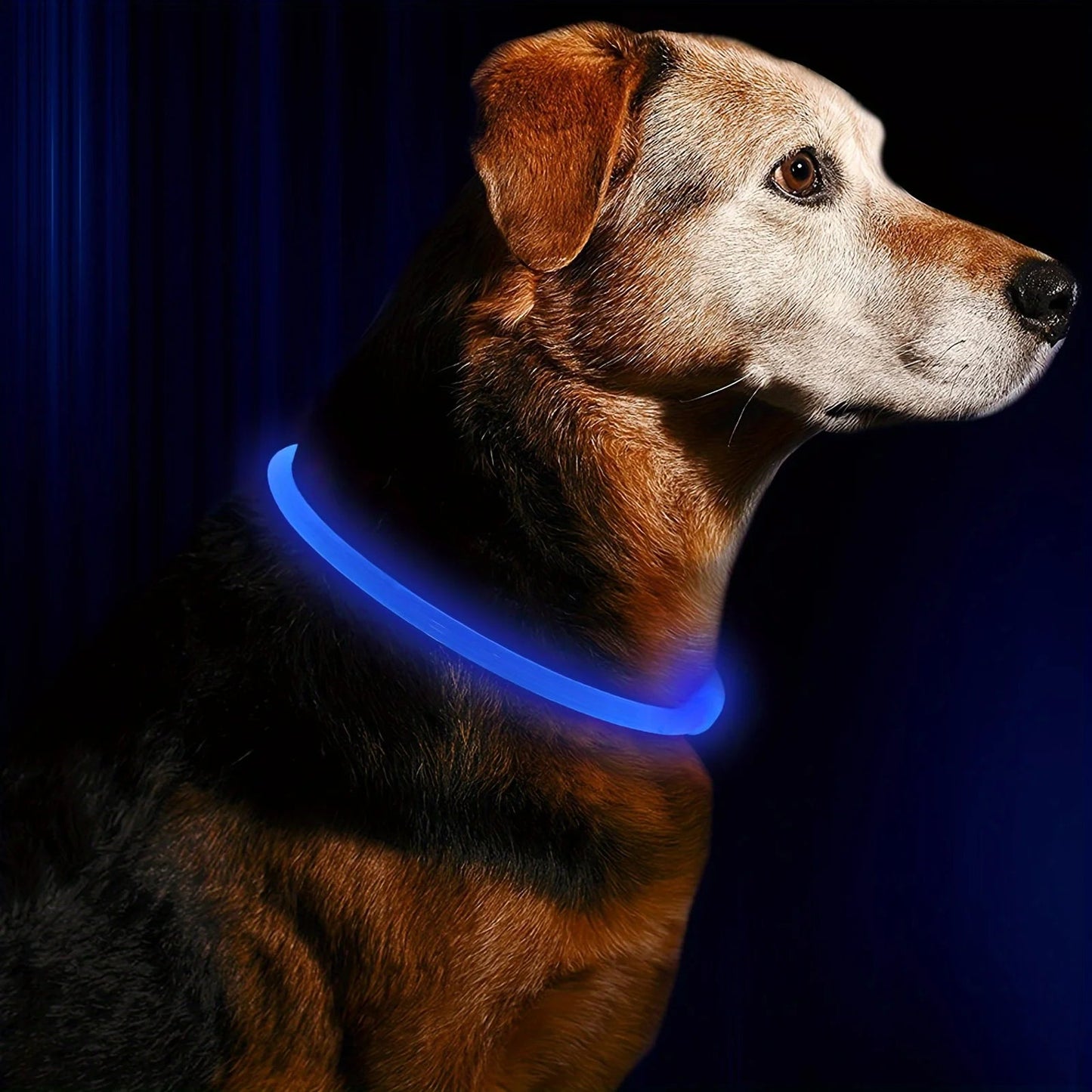 Rechargeable LED Dog Collar with Multiple Light Modes – USB Rechargeable, Weatherproof, Comfortable Fit for Night Safety 7
