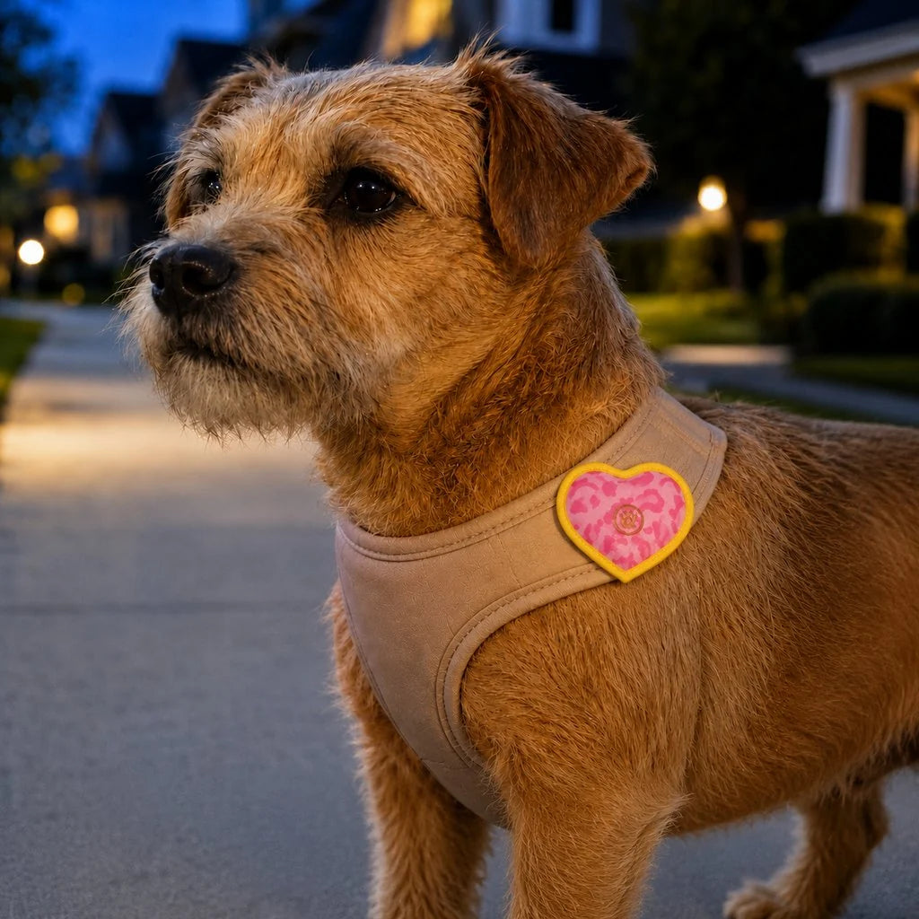 Rechargeable heart-shaped pet visibility light with a wrap-on design and soft LED glow, ideal for collars and leashes to enhance pet safety during nighttime walks 11