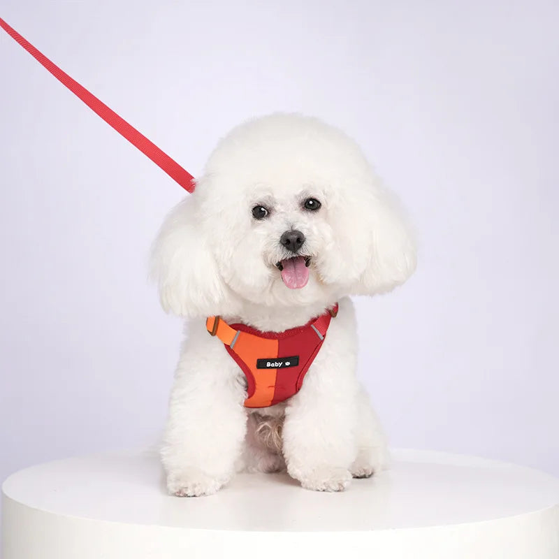 Reflective Adjustable Dog Harness and Leash Set for Small to Medium Dogs – Soft Breathable Polyester, Colorful Design 8