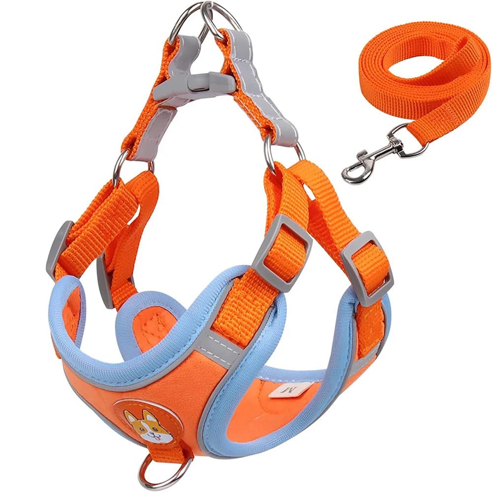 Reflective Dog Harness – Comfortable Nylon with Adjustable Straps for Safe Walking and Outdoor Activities 11