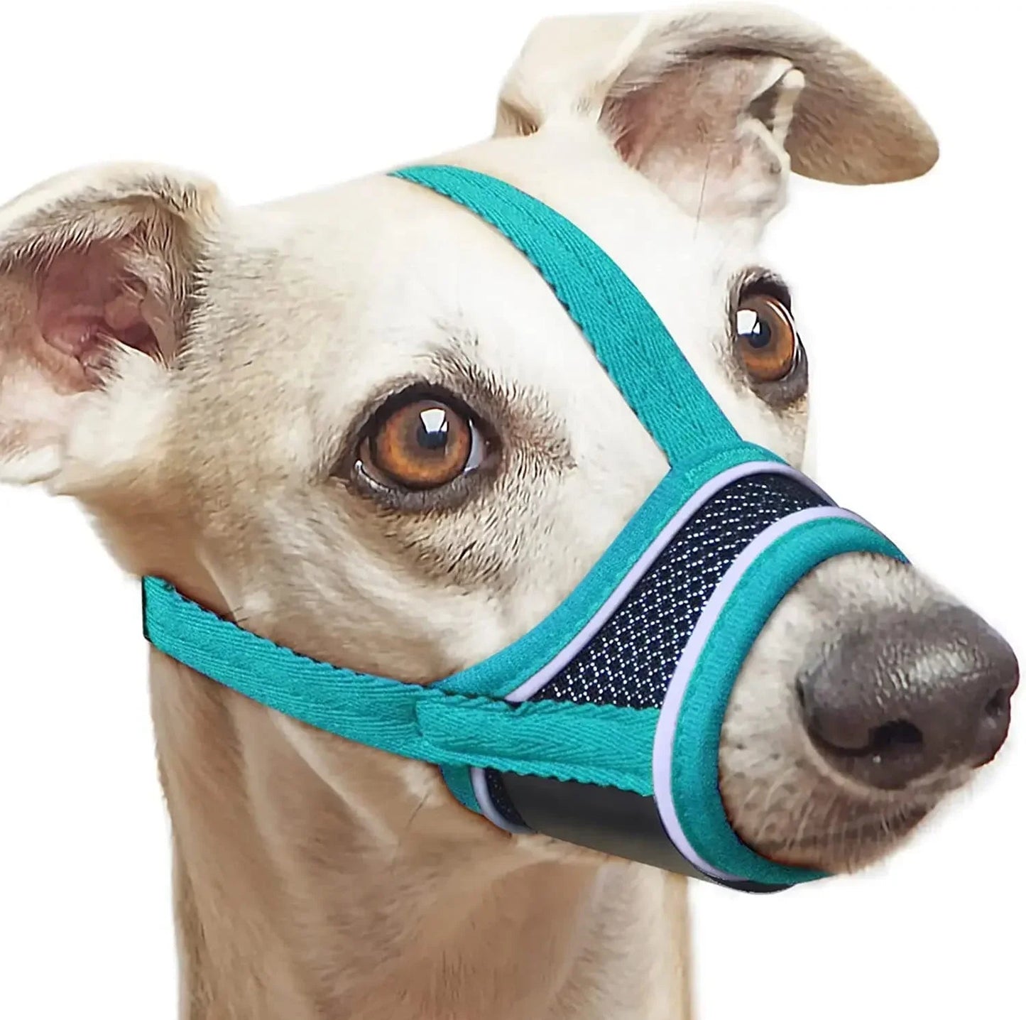 Reflective Nylon Dog Muzzle with Adjustable Fit – Breathable and Lightweight Safety Muzzle for All Sizes 5