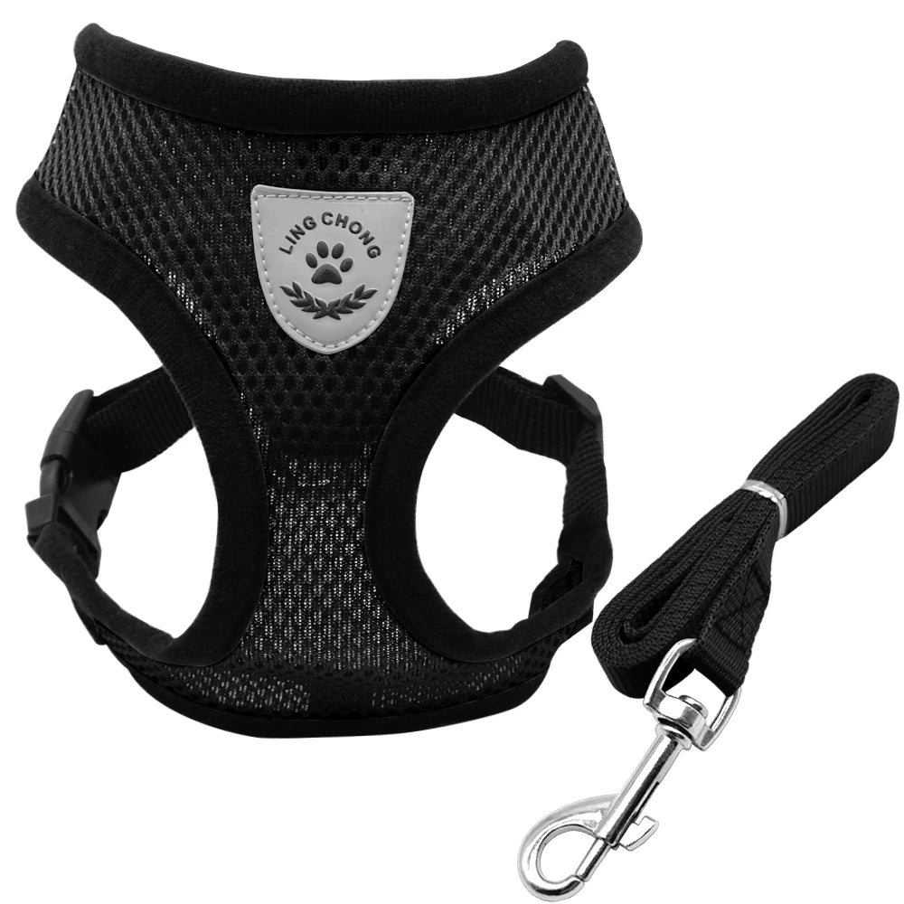 SafeWalk | Reflective Cat Harness and Leash Set 6