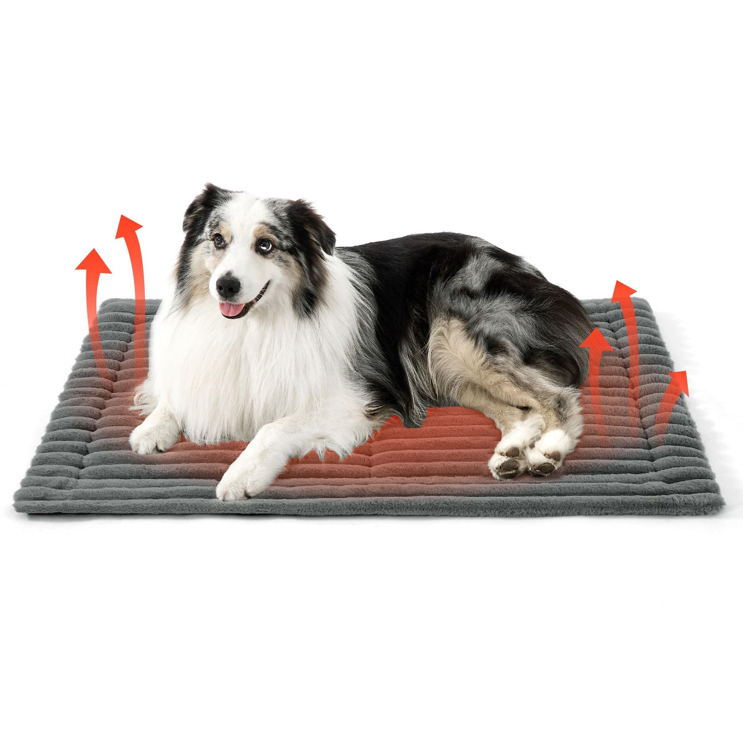 Self-Warming Pet Mat for Cats – Cozy, Portable, and Machine-Washable Design 8