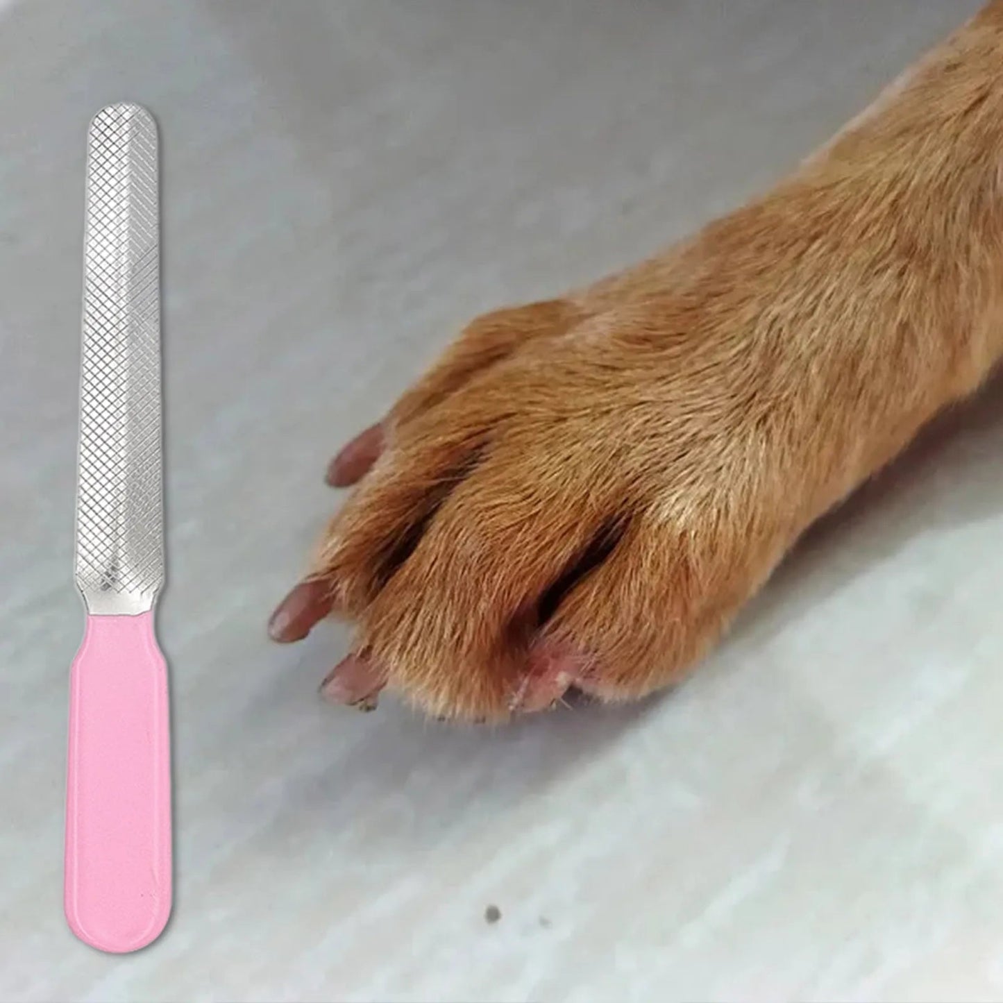 Stainless Steel Nail File for Dogs and Cats – Ergonomic Design with Three-Color Filing System 4
