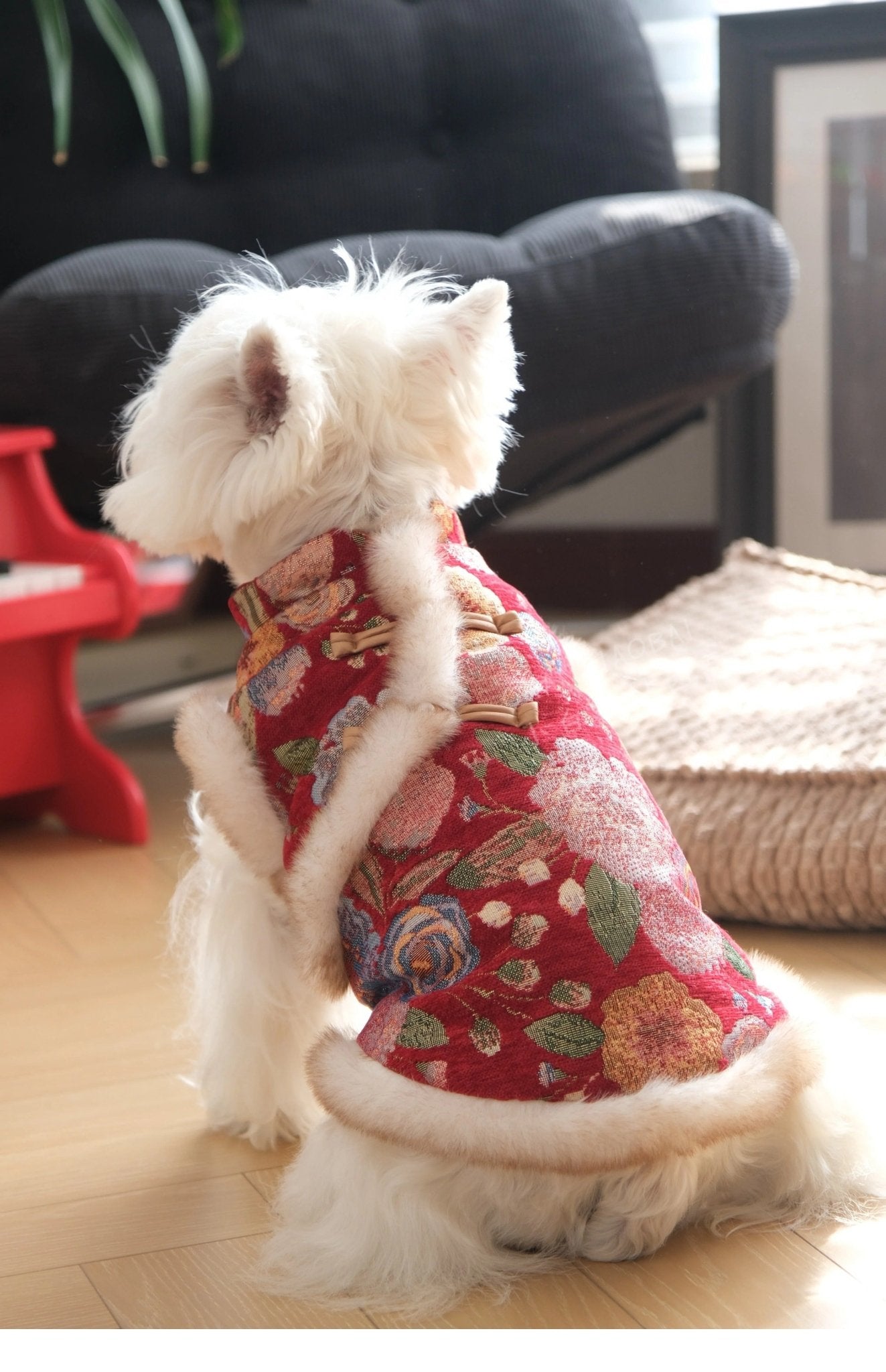 Stylish New Year Celebration Vest in Red, Green, and Gold – Comfortable Layering Attire for Holiday Gatherings 4