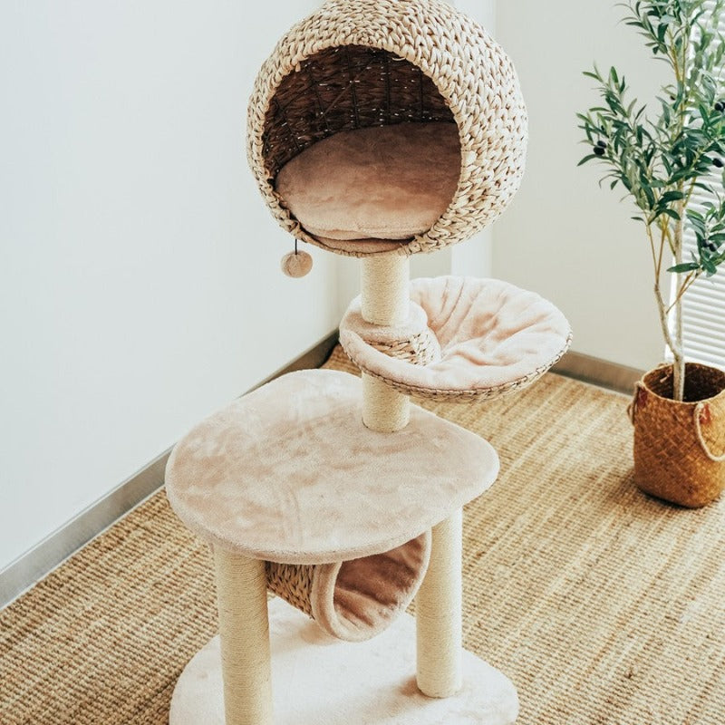 Sustainable Cat Scratching Post with Natural Rope and Washable Cushion – Durable Climbing and Play Structure for Active Cats 7